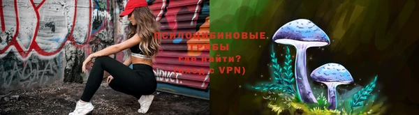 молекула духа Белоозёрский