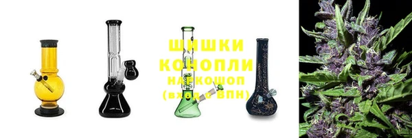 молекула духа Белоозёрский