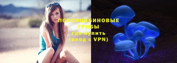молекула духа Белоозёрский