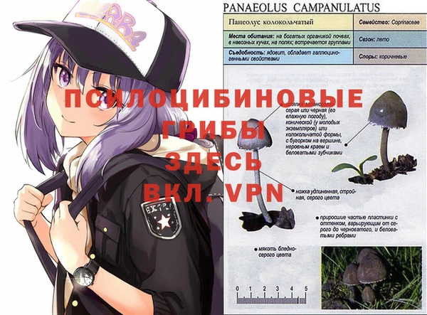 метамфетамин Белокуриха