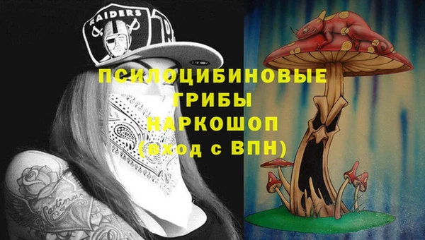 молекула духа Белоозёрский