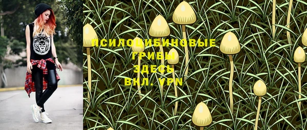 метадон Беломорск